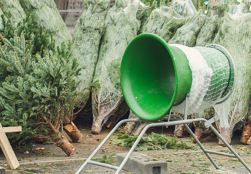 Kerstbomen hoogstraten afhalen